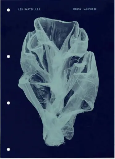 Les particules : le conte humain d'une eau qui meurt