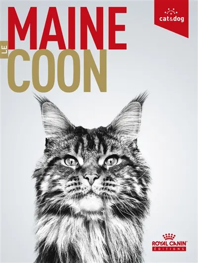 Le maine coon
