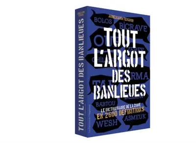 Tout l'argot des banlieues : le dictionnaire de la zone en 2.600 définitions