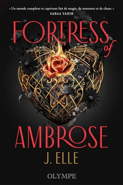 House of Marionne. Vol. 3. Fortress of Ambrose