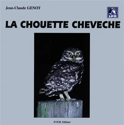 La chouette chevêche