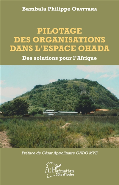 Pilotage des organisations...