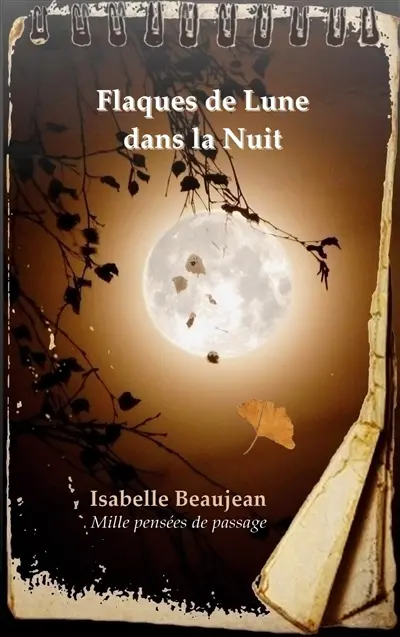 Flaques de Lune dans la Nuit : Mille pensées de passage