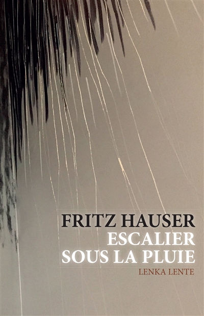 Fritz Hauser : escalier sous la pluie