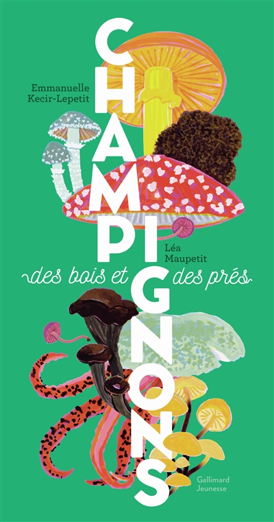 Champignons des bois et des prés