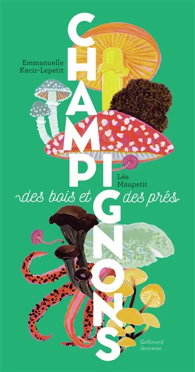 Champignons des bois et des prés