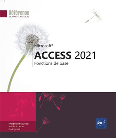 Microsoft Access 2021 : fonctions de base