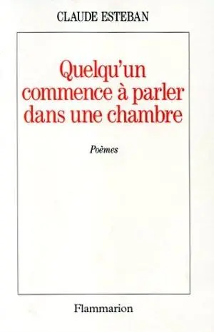 Quelqu'un commence à parler dans une chambre