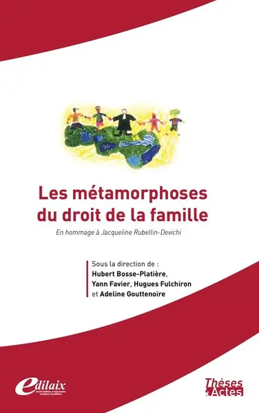 Les métamorphoses du droit de la famille : en hommage à Jacqueline Rubellin-Devichi