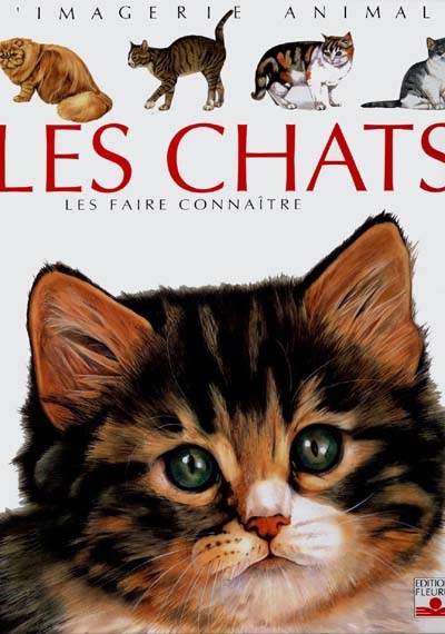 les chats pour les faire connaître aux enfants