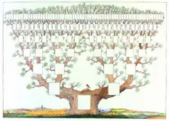 Arbre généa' 7