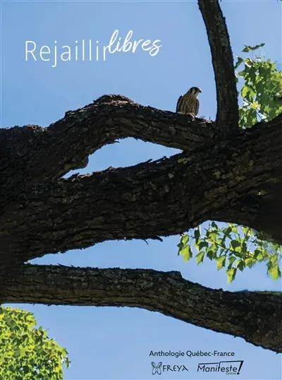 Rejaillir libres : anthologie Québec-France