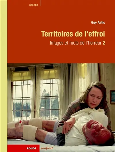 Images et mots de l'horreur. Vol. 2. Territoires de l'effroi