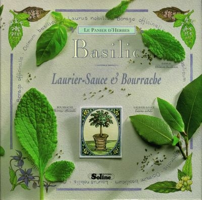 Basilic : laurier-sauce et bourrache