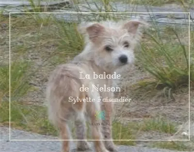 La balade de Nelson