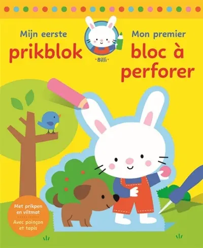 Mon premier bloc à perforer : avec poinçon et tapis. Mijn eerste prikblok : met prikpen en viltmat