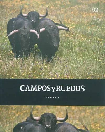 Campos y ruedos. Vol. 2