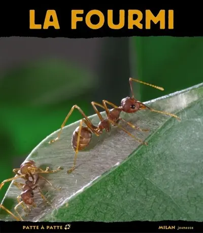 La fourmi