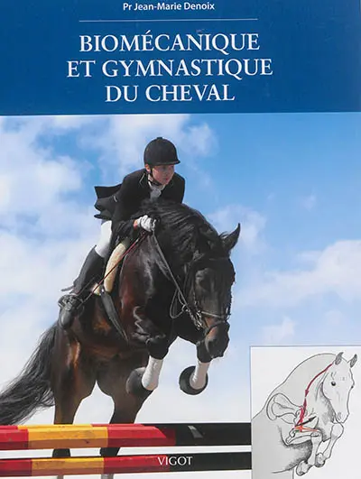 Biomécanique et gymnastique du cheval