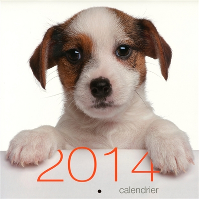 Calendrier mural : chiens 2014