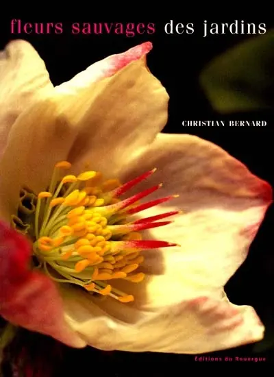 Fleurs sauvages des jardins