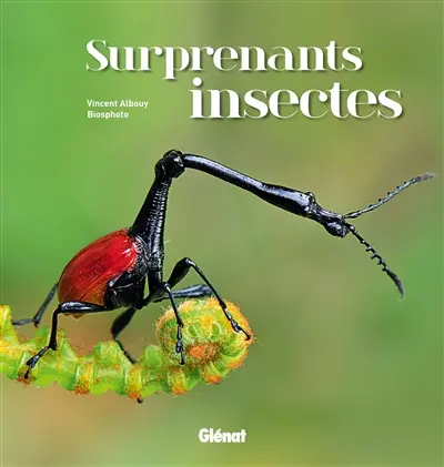 Surprenants insectes