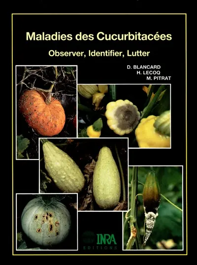 Maladies des cucurbitacées : observer, identifier, lutter