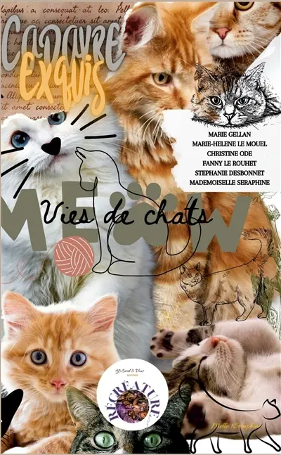 Vies de chats : Cadavre exquis : écriture collective
