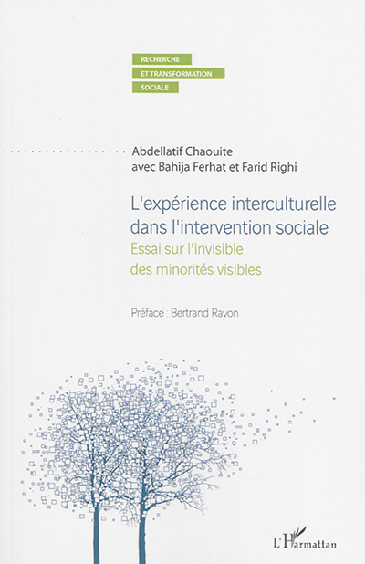 L'expérience interculturelle dans l'intervention sociale : essai sur l'invisible des minorités visibles
