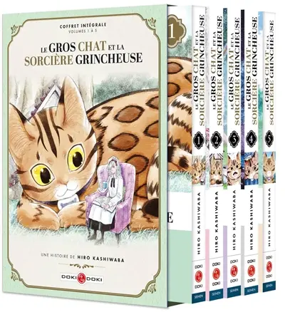 Le gros chat et la sorcière grincheuse : coffret intégrale, volumes 1 à 5