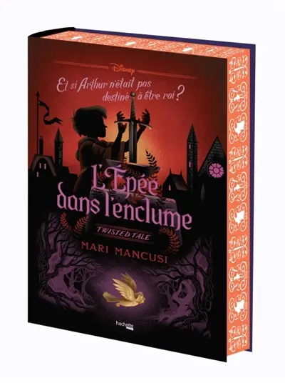 L'épée dans l'enclume : et si Arthur n'était pas destiné à être roi ?