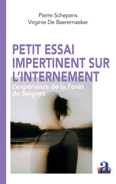 Petit essai impertinent sur...