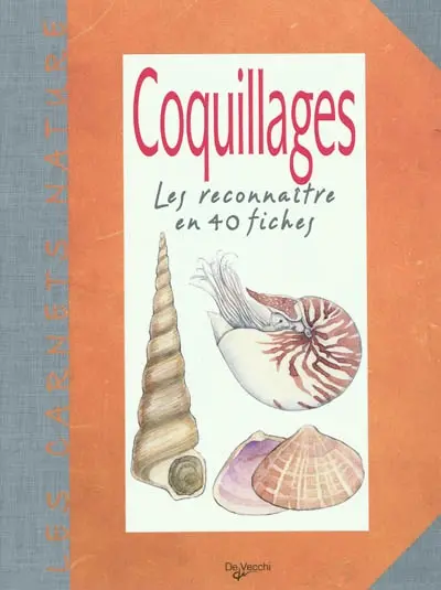 Coquillages : les reconnaître en 40 fiches