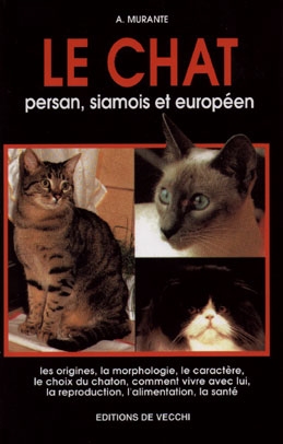 Le chat persan, siamois et européen