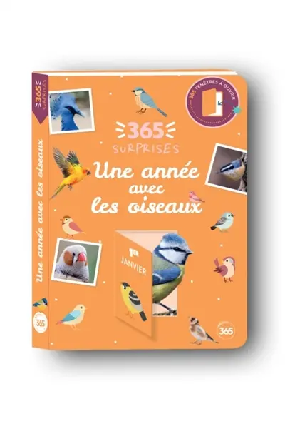Une année avec les oiseaux Une année avec les oiseaux