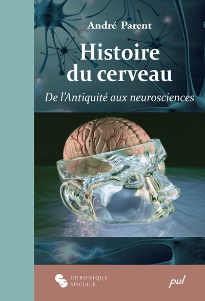 Histoire du cerveau : de l'Antiquité aux neurosciences
