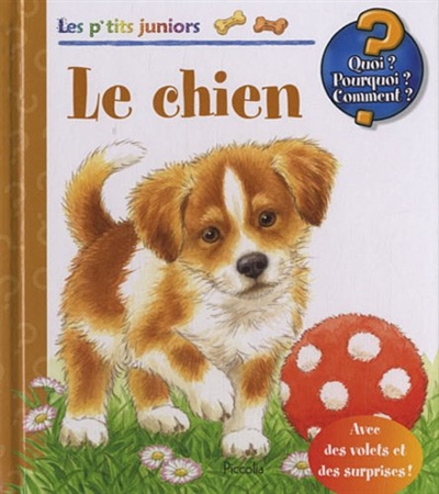 Le chien : avec des volets et des surprises !