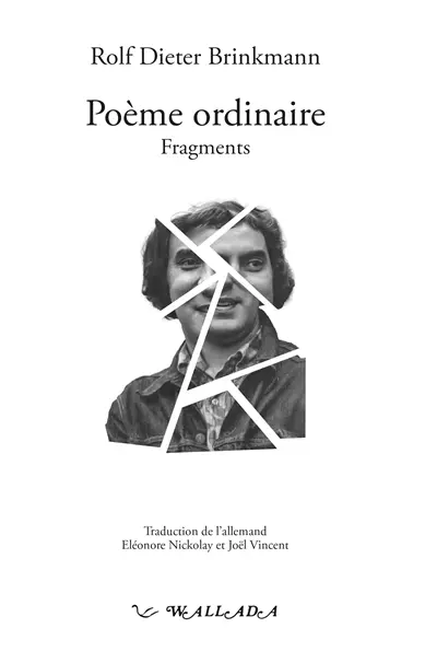 Poème ordinaire : fragments