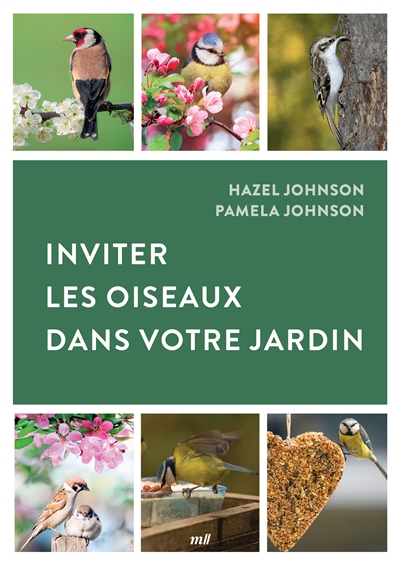 Inviter les oiseaux dans votre jardin
