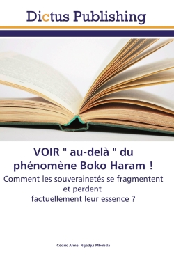 VOIR " au-delà " du phénomène Boko Haram !