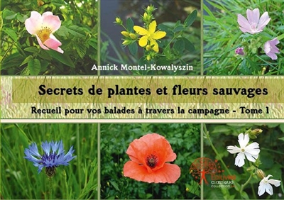 Secrets de plantes et fleurs sauvages : Recueil pour vos balades à travers la campagne : Tome 1