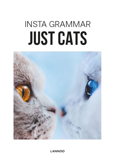 Insta grammar. Just cats