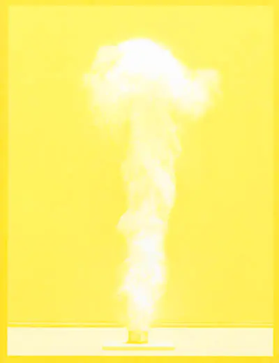 Phénomènes : Marina Gadonneix