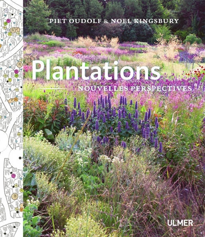 Plantations : nouvelle perspective