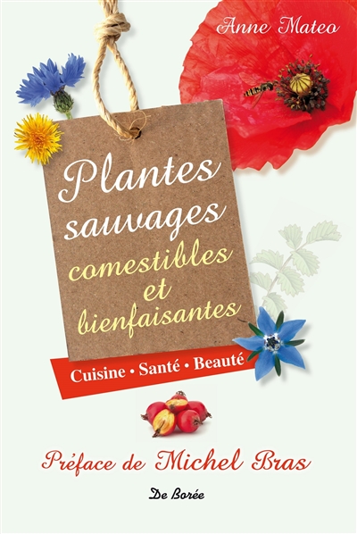 Plantes sauvages comestibles et bienfaisantes : cuisine, santé, beauté