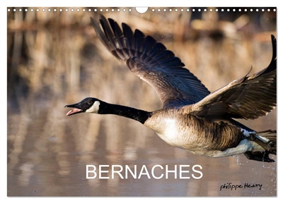 BERNACHES (Calendrier mural...