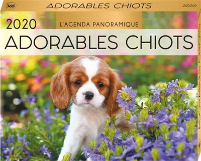 Adorables chiots 2020 : l'agenda panoramique