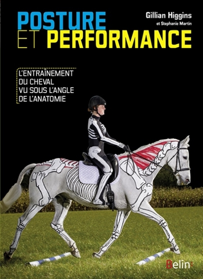 Posture et performance : l'entraînement du cheval vu sous l'angle de l'anatomie