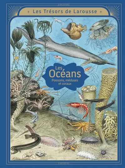Les océans : poissons, méduses et coraux