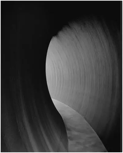 Richard Serra 2014